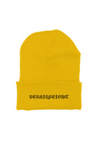 Load image into Gallery viewer, VERSI8NEIGHT Sicario Logo Cuffed Beanie